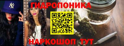шишки Балашиха
