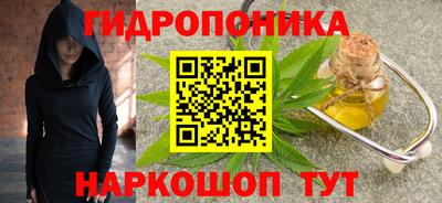 шишки Балахна