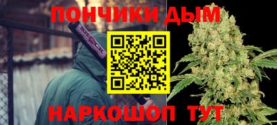 шишки Балашиха