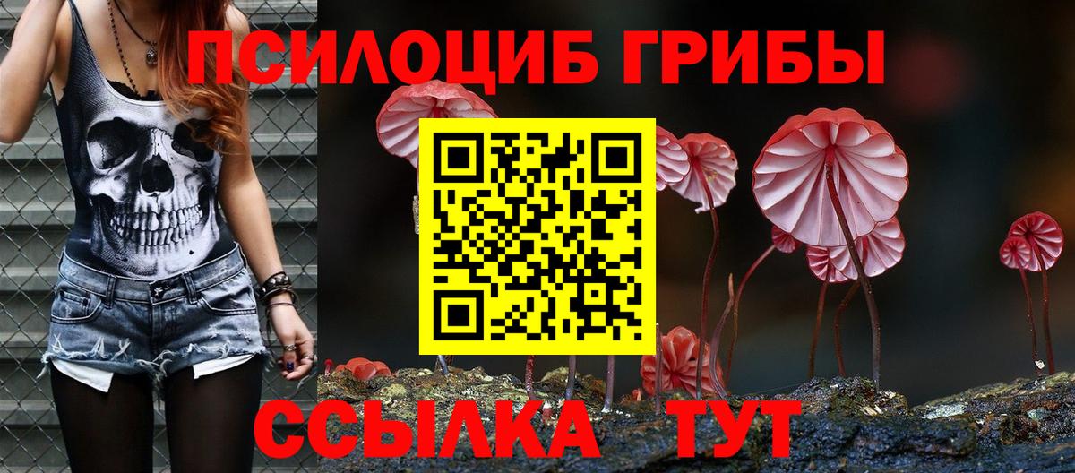 Галлюциногенные грибы Magic Shrooms Дзержинск