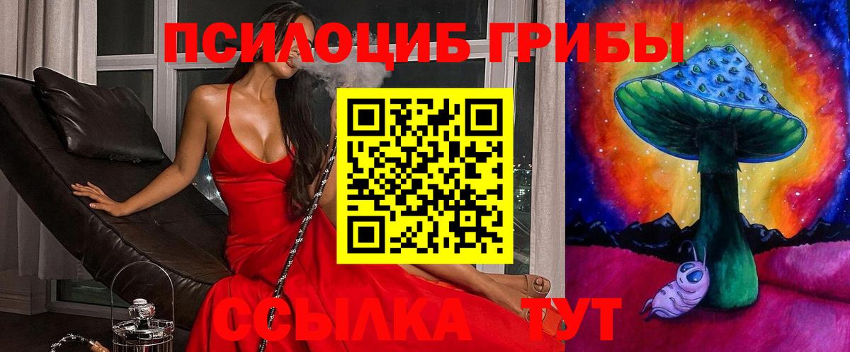 Дзержинск  Галлюциногенные грибы мицелий  Галлюциногенные грибы Psilocybe  Вход с VPN 